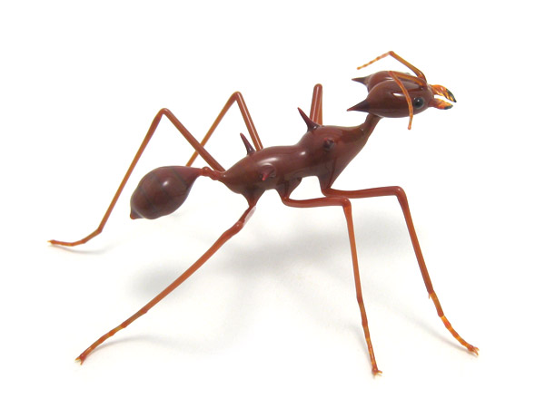 Leafcutter Ant, glass bug by Wesley Fleming