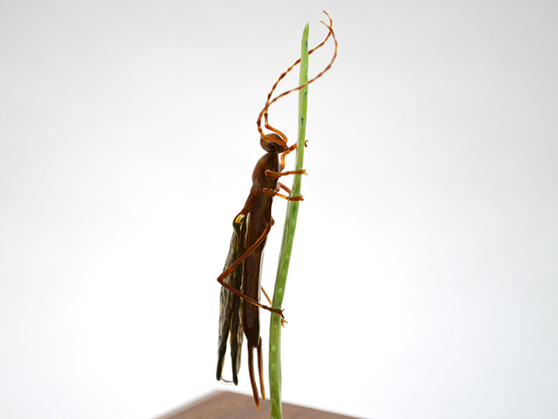Owlfly Resting on Grass, glass owlfly by Wesley Fleming