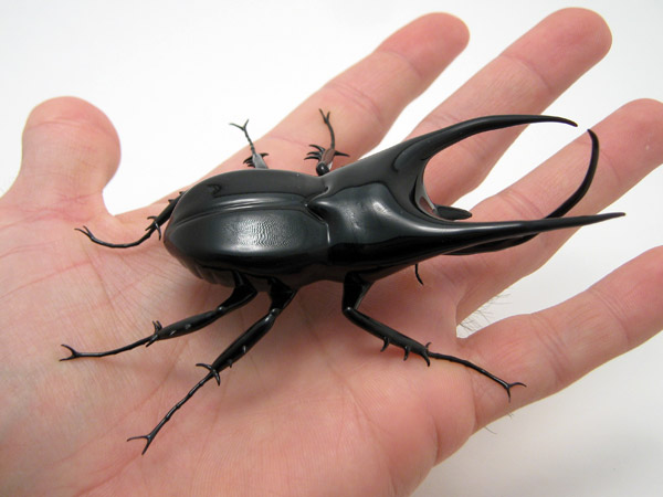 Atlas Beetle - Chalcosoma atlas, glass atlas beetle by Wesley Fleming