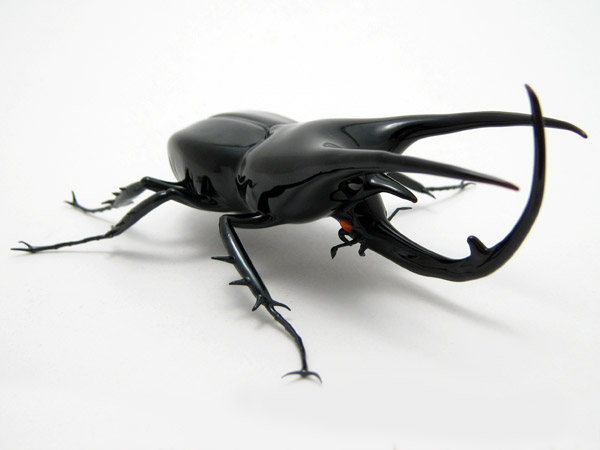 Atlas Beetle - Chalcosoma atlas, glass insect by Wesley Fleming