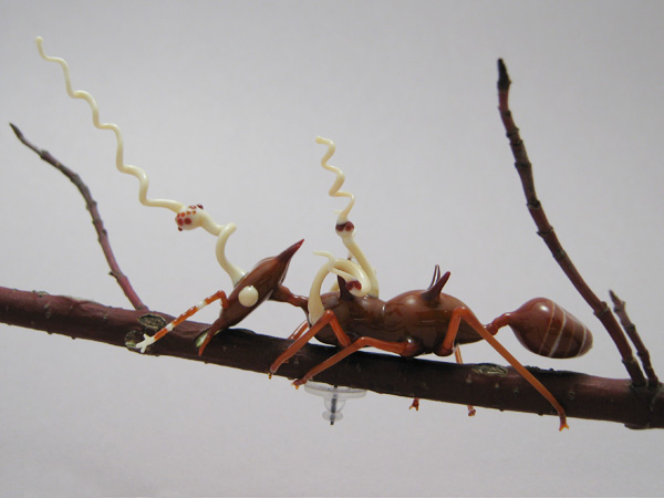 Leafcutter Ant Infected with Cordyceps Fungus, glass ant by Wesley Fleming