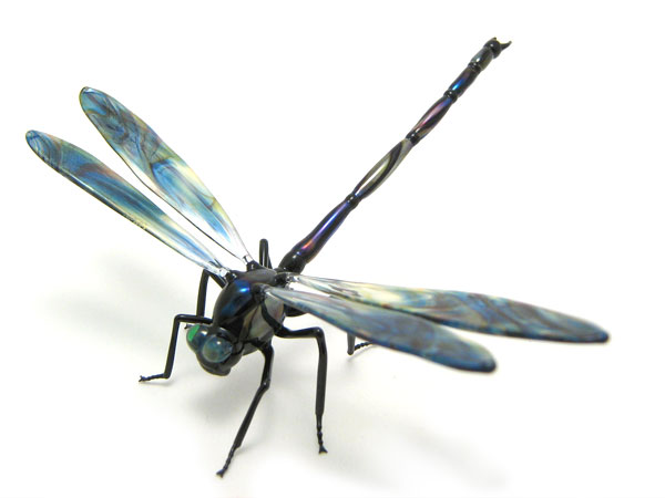 Dragonfly, glass insect by Wesley Fleming