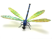 dragonfly-for-Kirsten