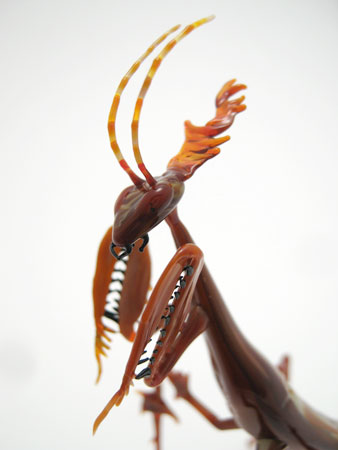 Ghost Mantis, glass bug by Wesley Fleming