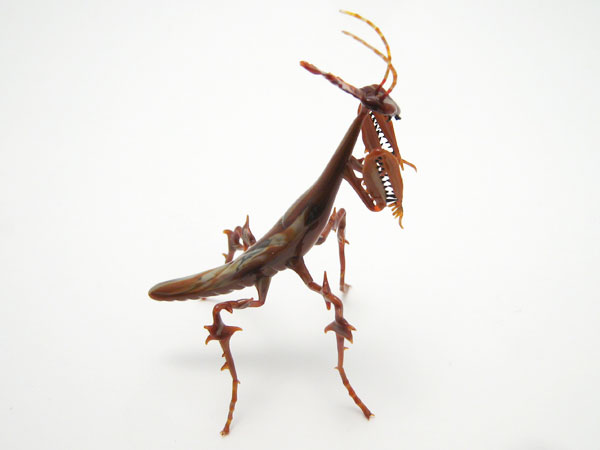 Ghost Mantis, glass insect by Wesley Fleming