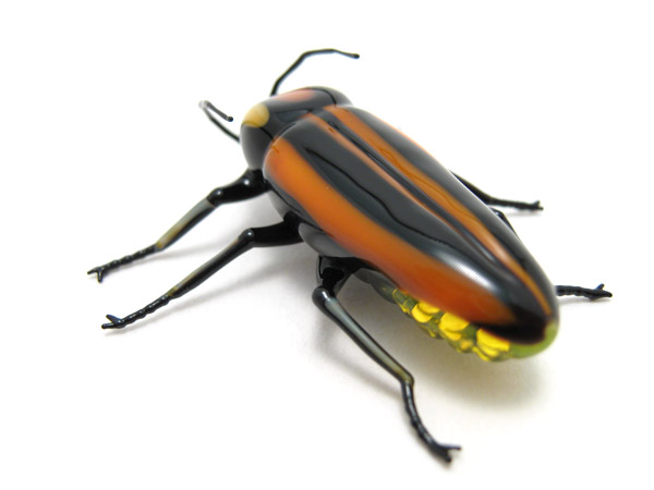 Lightning Bug, glass beetle by Wesley Fleming