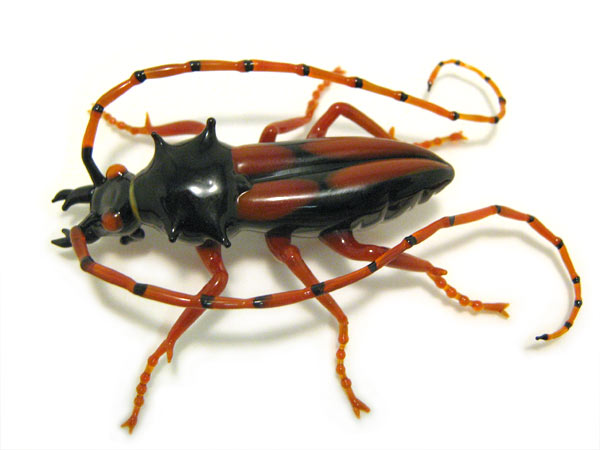 Longhorn Beetle, glass insect by Wesley Fleming