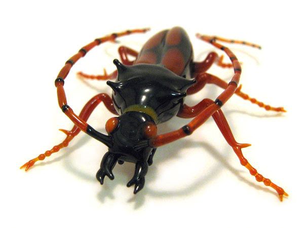 Longhorn Beetle, glass bug by Wesley Fleming