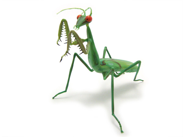 "Femme Fatale", praying mantis, glass insect by Wesley Fleming