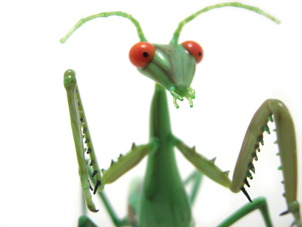 "Femme Fatale", praying mantis, glass bug by Wesley Fleming