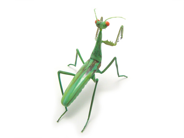 "Femme Fatale", praying mantis, glass insect by Wesley Fleming