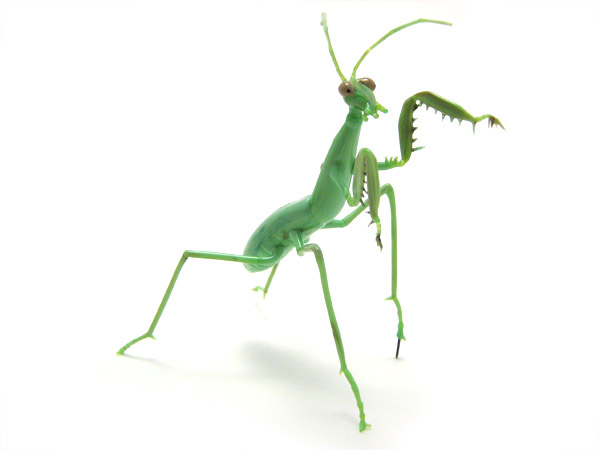 Praying Mantis with 1/4\" steel pin in foot, glass mantis by Wesley Fleming