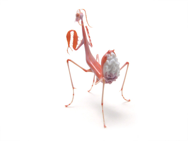 Orchid Mantis, glass bug by Wesley Fleming