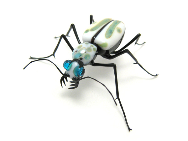 Tiger Beetle, glass insect by Wesley Fleming