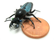 tiny-stag