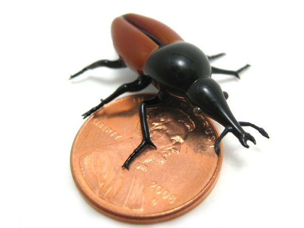Tiny Weevil, glass insect by Wesley Fleming