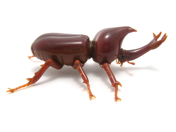 Japanese Unicorn Beetle, glass beetle by Wesley Fleming