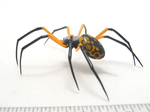 Argiope aurantia, glass bug by Wesley Fleming