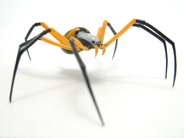 Argiope aurantia, glass spider by Wesley Fleming