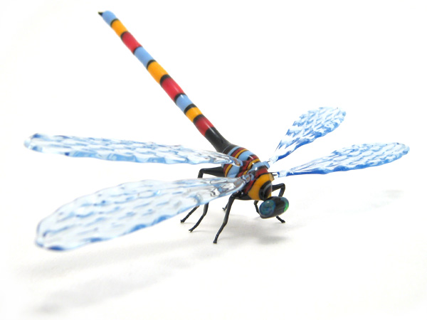 DGfly, glass insect by Wesley Fleming