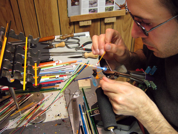 Encarsia formosa - parasitic wasp, glass wasp by Wesley Fleming