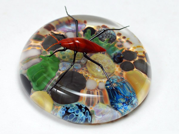 collaborative work with Jeremy Sinkus, glass insect by Wesley Fleming