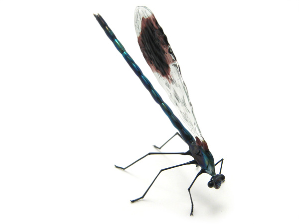 Banded Demoiselle, glass insect by Wesley Fleming