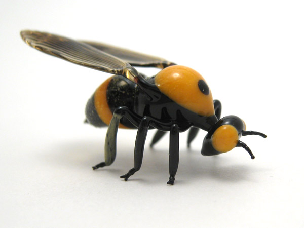 Bumblebee, glass insect by Wesley Fleming
