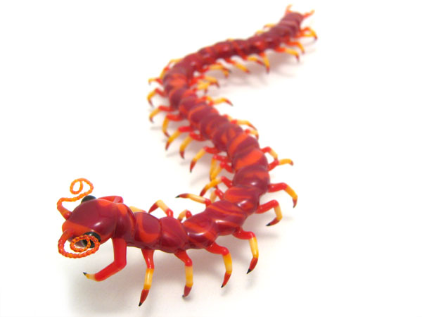 Candipede, glass bug by Wesley Fleming