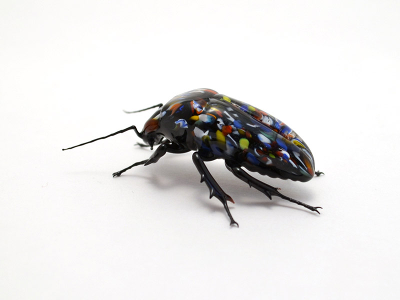 Confetti Beetle, glass beetle by Wesley Fleming