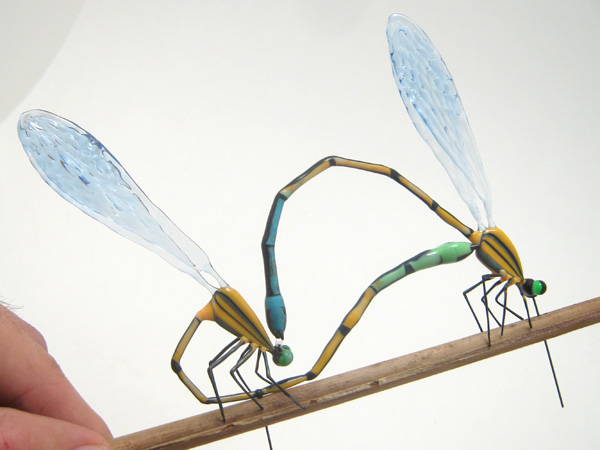 Damselflies Mating, glass damselfly by Wesley Fleming