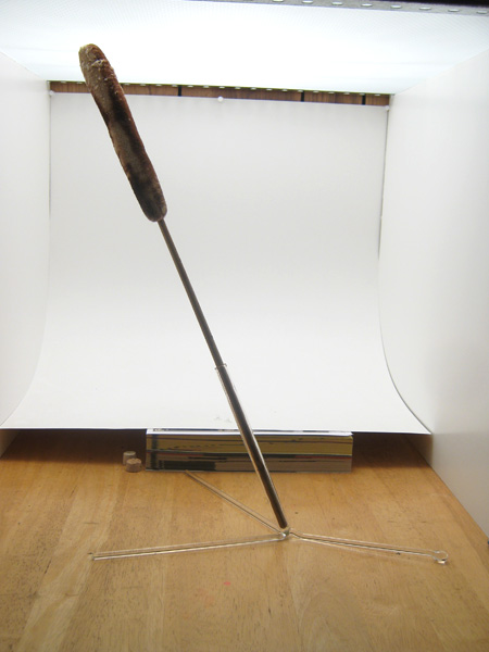 Damselflies Mating, glass damselflies by Wesley Fleming