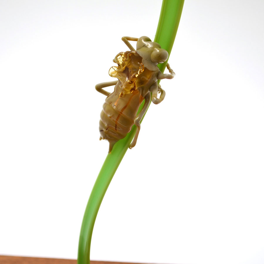 Freshly-Hatched Red Dragonfly, glass dragonfly by Wesley Fleming