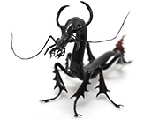 dragon-beetle