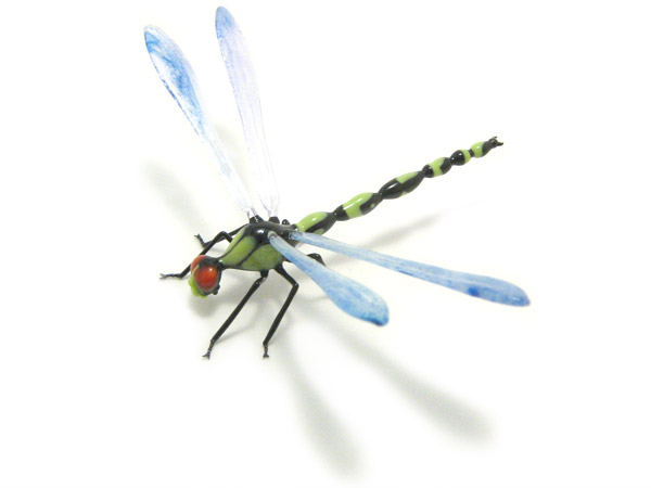 Dragonfly, glass insect by Wesley Fleming