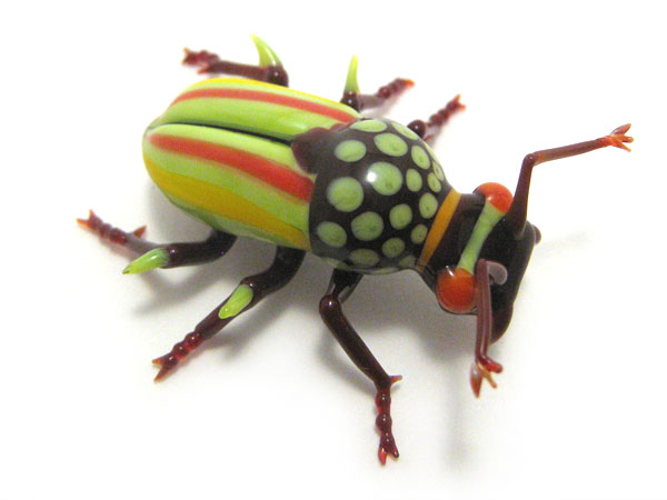 Thorny Dung-Muncher, glass beetle by Wesley Fleming
