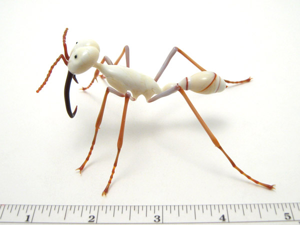 Eciton Soldier Army Ant, glass wasp by Wesley Fleming