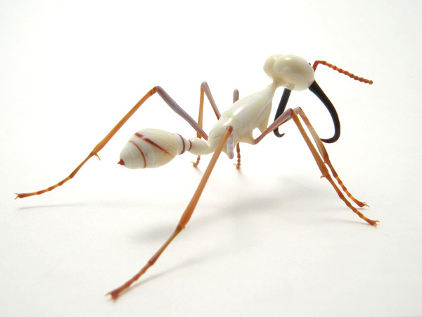 Eciton Soldier Army Ant, glass wasp by Wesley Fleming