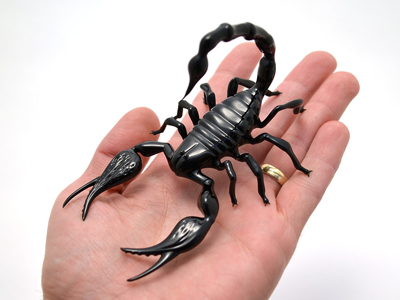Emperor Scorpion, glass scorpion by Wesley Fleming