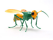 green-hornet