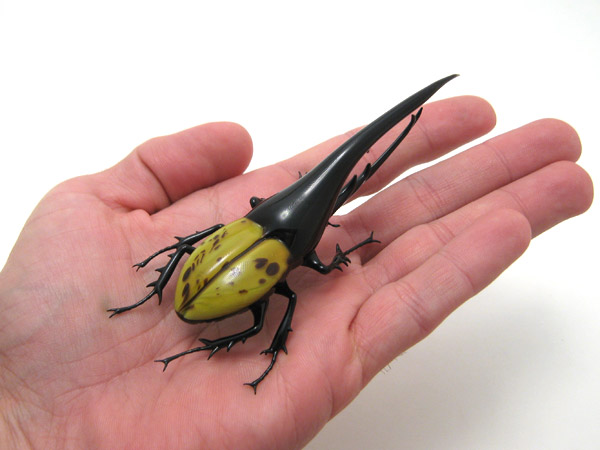 Hercules Beetle, glass beetle by Wesley Fleming