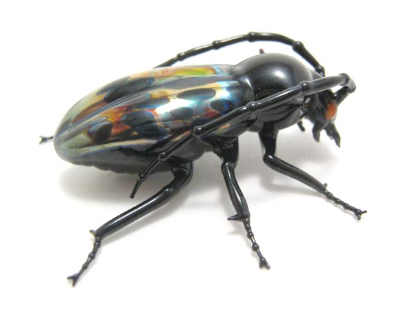 Iridescent Longhorn Beetle, glass insect by Wesley Fleming