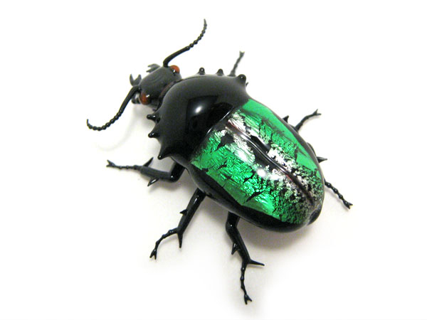 Jewel Beetle, glass insect by Wesley Fleming