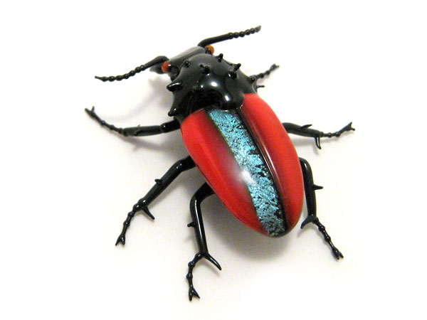 Jewel Beetle, glass beetle by Wesley Fleming