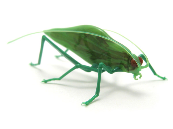 Katydid, glass katydid by Wesley Fleming