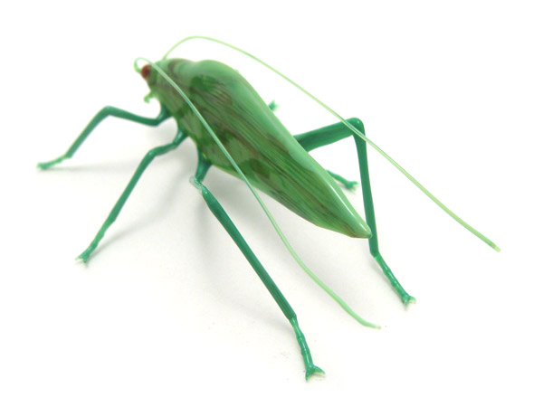 Katydid, glass katydid by Wesley Fleming