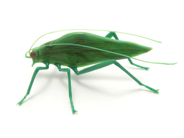 Katydid, glass katydid by Wesley Fleming