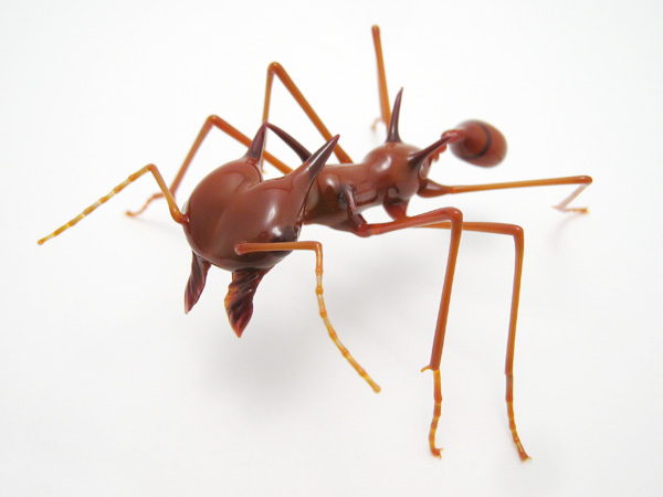 Leafcutter Ant for Q, glass bug by Wesley Fleming