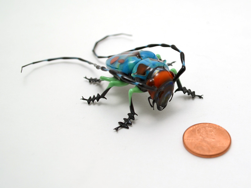 Longhorn Beetle, glass longhorn beetle by Wesley Fleming