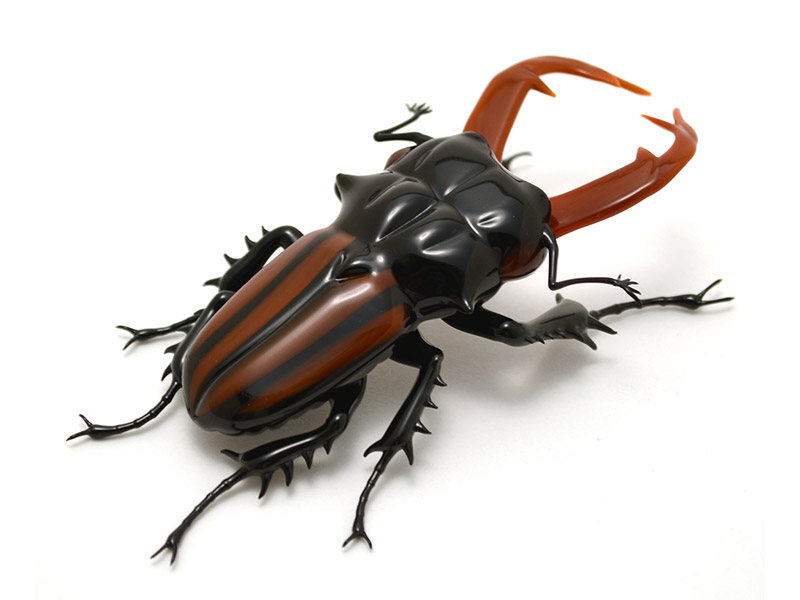 Lucanus cervus - stag beetle, glass insect by Wesley Fleming